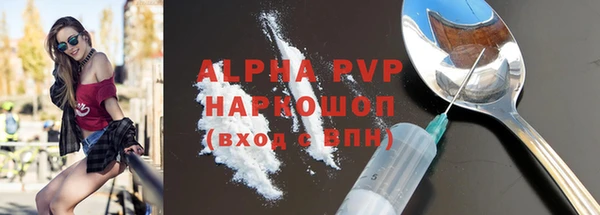 spice Богородицк