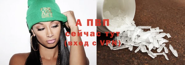 spice Богородицк
