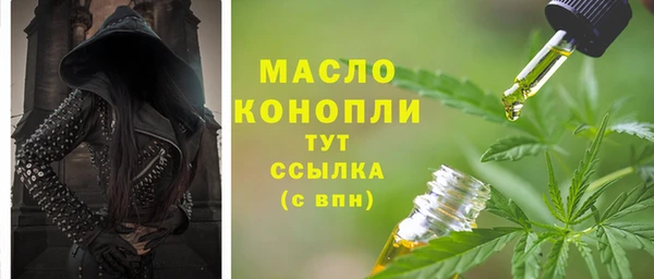 spice Богородицк