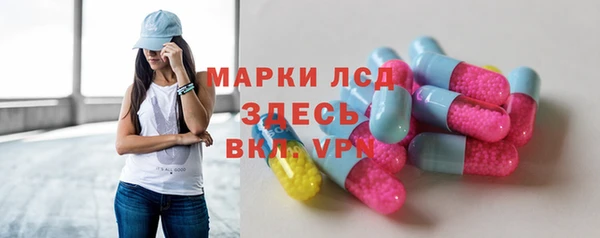spice Богородицк