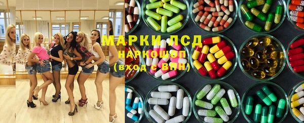 spice Богородицк