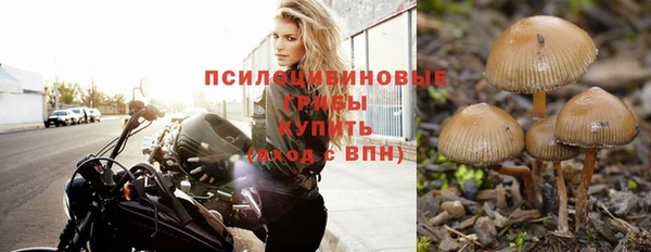кокаин колумбия Белокуриха